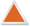 Market Roles SHAPES_OrangeTriangle